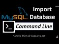 MySQL Import Database using Command Line Mp3 Song