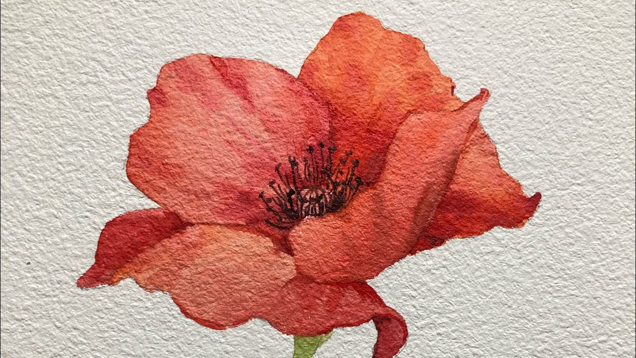 쉽고 간단히 그리는 양귀비꽃