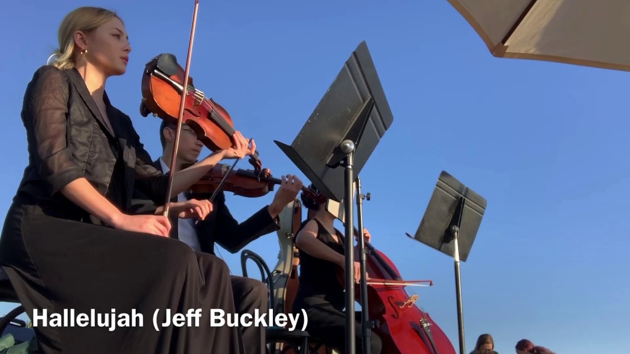 Classical String Trio performing Hallelujah and Isn't She Lovely