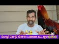 CRAZY RULES | சொன்னா நம்ப மாட்டீங்க! | Tamil |Aroma Vijay