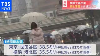 関東で春の嵐 雨と落雷で交通乱れる