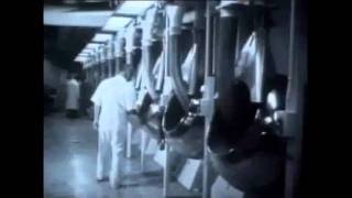 Psychiatry: An Industry of Death (FULL VERSION) Psychiatry: An Industry of Death (FULL VERSION)