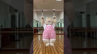 A Cute Bunny Doing Gymnastics