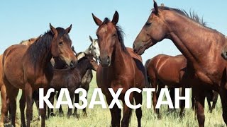 КАЗАХСТАН | ИНТЕРЕСНЫЕ ФАКТЫ