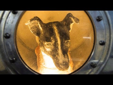वीडियो: मास्को में अंतरिक्ष कुत्ते का एक स्मारक दिखाई देगा