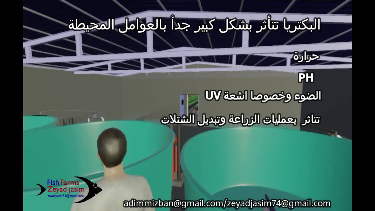 الاكوابونيك تحرير العناصر الغذائية للنباتات عن طريق بكتريا التمعدن من فظلات الاسماك Aquaponics 5 Youtube
