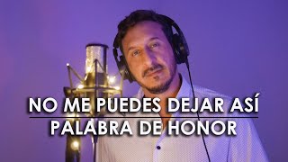 Video thumbnail of "NO ME PUEDES DEJAR ASÍ / PALABRA DE HONOR (Luis Miguel) - DIEGO ARAUJO (Cover)"