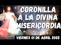 CORONILLA A LA DIVINA MISERICORDIA HOY VIERNES 1 DE ABRIL DE 2022