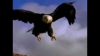 Kansas Cheyenne Anthem