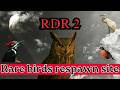 How I get some of the rare birds in Respawn areas for RDR 2