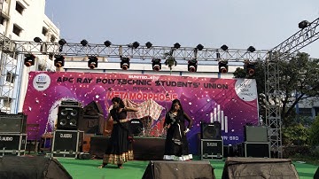 apc roy fest video metamorphosis 2k19