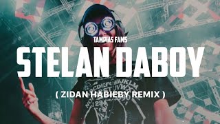 DJ VIRAL ! STELAN DABOY ( ZIDAN HABIEBY REMIX ) 2024 !