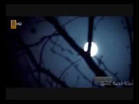 اغنيه شارع السلام حزينه ٢