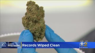 Does Automated Software To Expunge Marijuana Records Work?