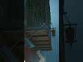 cutest moment. game-stray