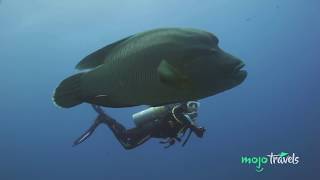 Top 10 Most Awesome Scuba Diving Spots Ever screenshot 4