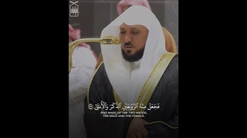 ﴿أَيَحسَبُ الإِنسانُ أَن يُترَكَ سُدًى﴾ آخر سورة القيامة .. الشيخ ماهر المعيقلي 🤍..