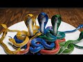 🐍 Colorful Amazon Jungle Snakes Pouring on Plate | Realistic Macro ASMR 🌈#AmazonJungle