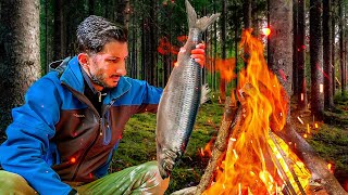 Вкусный Рыбный Кебаб В Лесу | Расслабляющий Одиночный Кемпинг На Природе