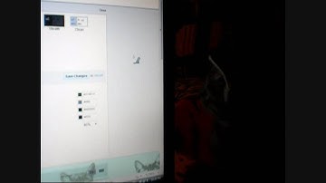 cat chases mouse cursor