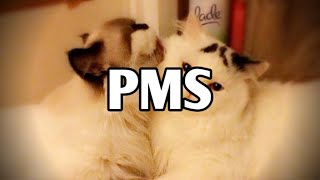 PMS - STORY WA BUCIN