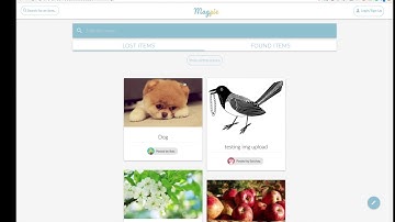 Magpie - CS498rk Final Project