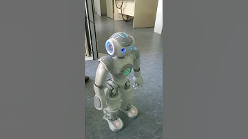NAO Robot Demo