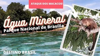 Parque Nacional de Brasília - Água Mineral 