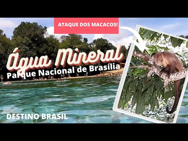 COMO É O PARQUE ÁGUA MINERAL, O PARQUE NACIONAL DE BRASÍLIA? DIVERSÃO COM  PISCINA, TRILHAS E MACACOS 