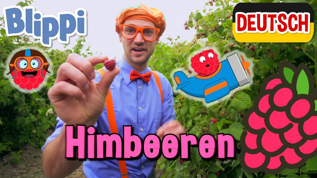 Ein Gestell für Himbeeren