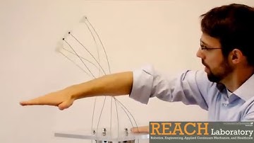 Elastic Stability of Cosserat Rods and Parallel Continuum Robots