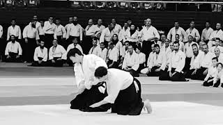 First International Summer Aïkido, Kanasawa Takeshi Shihan 7 Dan, Suzuki Toshio Shihan 6 Dan.
