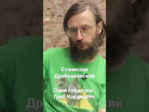 Станислав Дробышевский. Гриб Кордицепс и зомби. О сериале «Одни среди нас»