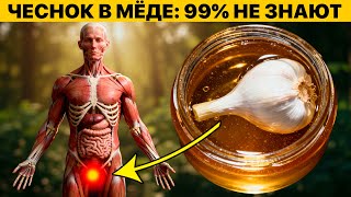 Вот что произойдёт, если съедать чеснок с мёдом натощак. Организм оживает за неделю!