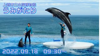 ◆上越市立水族博物館 うみがたり　ドルフィンパフォーマンス（2022.09.18）09:30~ ◆