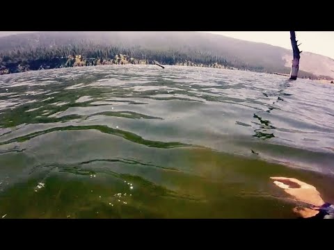 Scuba Diving in Quake Lake