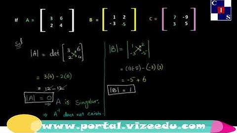 1.5.5: Problem 1 Singular and Non singular Matrix, Matrices and Determinants, Math Punjab Level-9