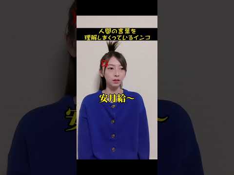 人間の言葉を理解しまくっているインコ