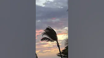 Cyclone 🌧 🌀 🌧watch weather shorts hawaii 🌸aloha see maui🌺storm🌴winds✈️ thumbnail