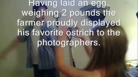 Dangling and Misplaced Modifiers video presentation