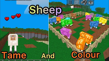 Multicraft- How To Tame And Colour A Sheep 🔥 #multicraft #viral