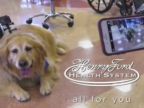 Wideo: Pies terapeuty łagodnie pociesza pacjenta hospitalizowanego, podczas gdy oboje słuchają poezji