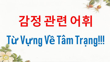 TỪ VỰNG TIẾNG HÀN VỀ TÂM TRẠNG | 감정 관련 어휘 | Hàn Quốc Sarang