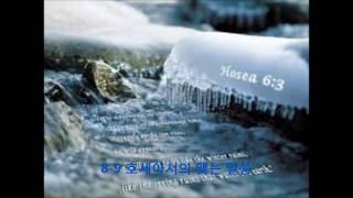 [생명의삶] 20161031 호 14:1-9 이스라엘의 회개와 회복