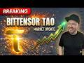 Bittensor Market Update: TAO Price Action, Venice, Ridges Beta, OpenClaw Builders