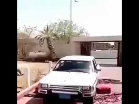 رياكشن السلام عليكم