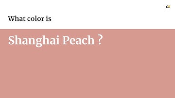 Shanghai Peach color #d79a91 hex color - Red color - Cool color d79a91