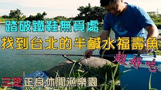 【老蟹愛釣魚】半鹹水福壽魚台北那裡釣？遠在天邊近在眼前，就 ...