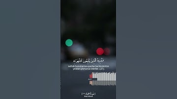 والله يريد أن يتوب عليكم | القرآن الكريم سورة النساء ❤