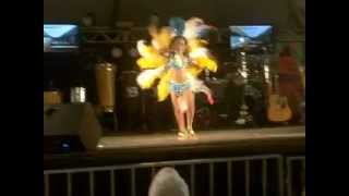 Rainha Mirim Do Carnaval 2013 Em Pitangueiras
